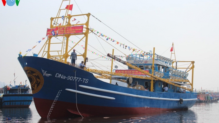 Những thành công bước đầu của Nghị định 67 về một số chính sách phát triển thủy sản. (3/4/2016)