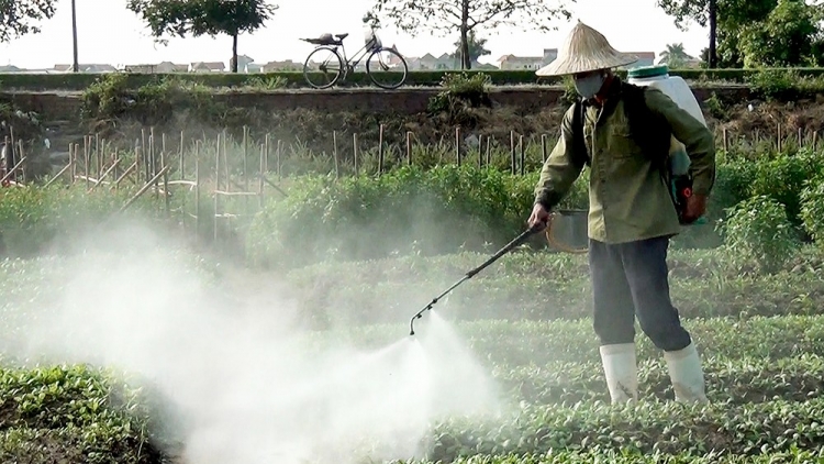 Hội chứng "rau 2 luống, lợn 2 chuồng" - hay con đường đồng bào ta đầu độc đồng bào mình (15/4/2016)