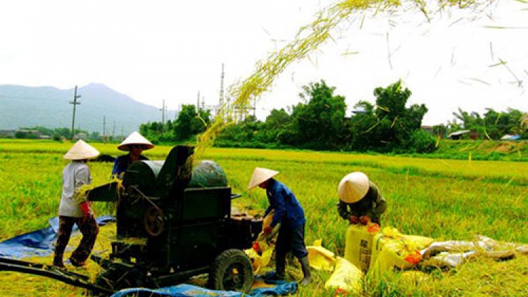 Tầm nhìn chiến lược của Đảng về vấn đề tam nông. (20/01/2016)