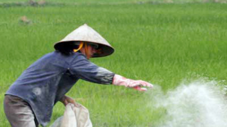 Tăng cường các biện pháp để đẩy lùi nạn phân bón giả.