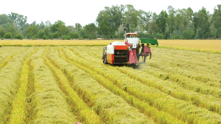 Nông dân thời hội nhập: Phải thay đổi tư duy và cung cách làm ăn
