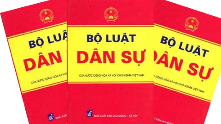 Đại biểu Quốc hội và cử tri góp ý vào Dự thảo bộ luật Dân sự sửa đổi