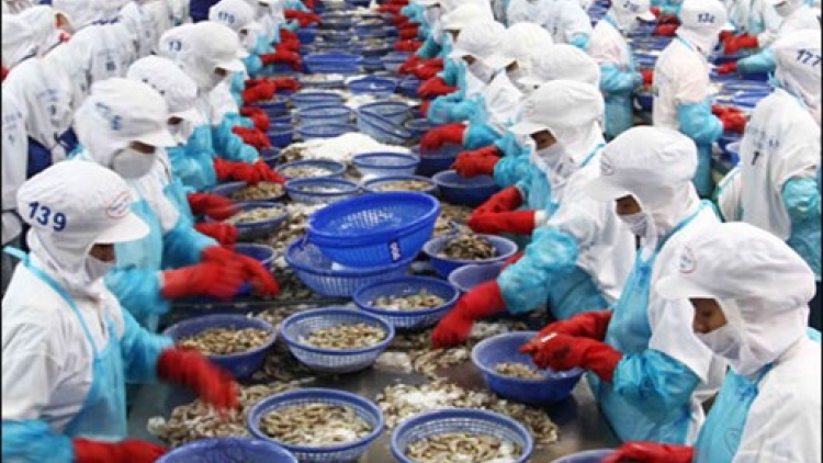 Xuất khẩu thủy sản Việt Nam năm 2015 khó phục hồi và hướng khắc phục.