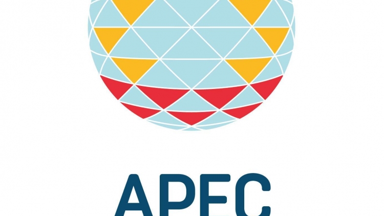 Việt Nam tích cực hội nhập APEC vì một khu vực hòa bình, thịnh vượng.
