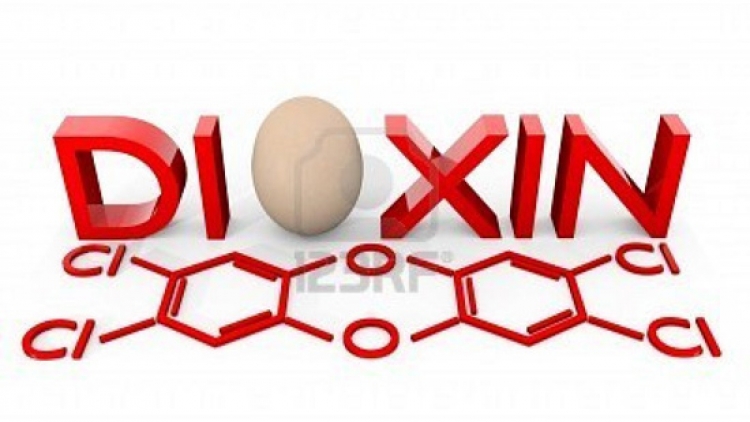 Kết quả nghiên cứu mới về tác hại của chất da cam/dioxin đối với con người và môi trường ở nước ta. (Thời sự đêm 24/11/2015)