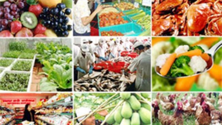Sản xuất sạch : Vì sao đầu voi - đuôi chuột? (28/11/2015)