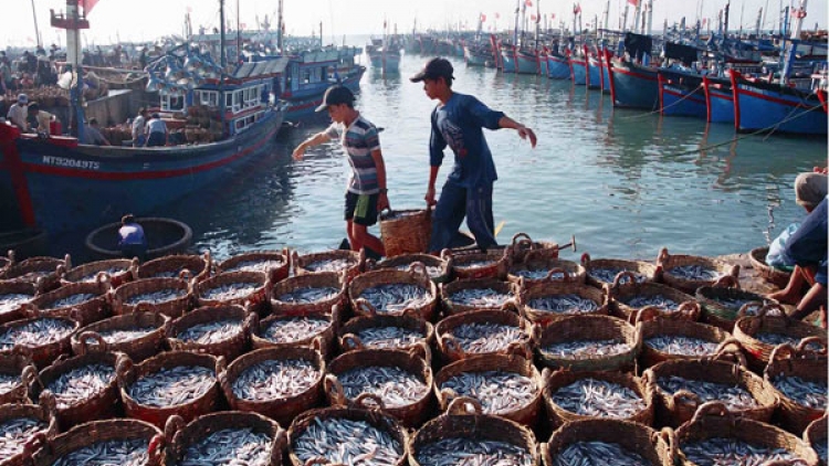 Khai thác thủy sản có trách nhiệm từ vai trò của cơ quan chức năng.
