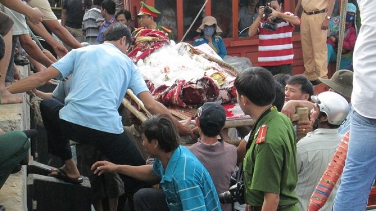 Cần lên án hành động xả súng vào ngư dân Quảng Ngãi ở Trường Sa (2/12/2015)