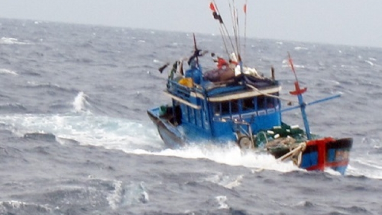 7 ngư dân trên tàu cá Thanh Hóa rơi xuống biển mất tích trên vùng biển Hải Phòng - Quảng Ninh (Thời sự trưa 5/12/2015)