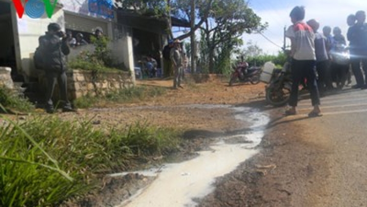 Những vấn đề "nóng" đặt ra từ chuyện nông dân đổ bỏ sữa