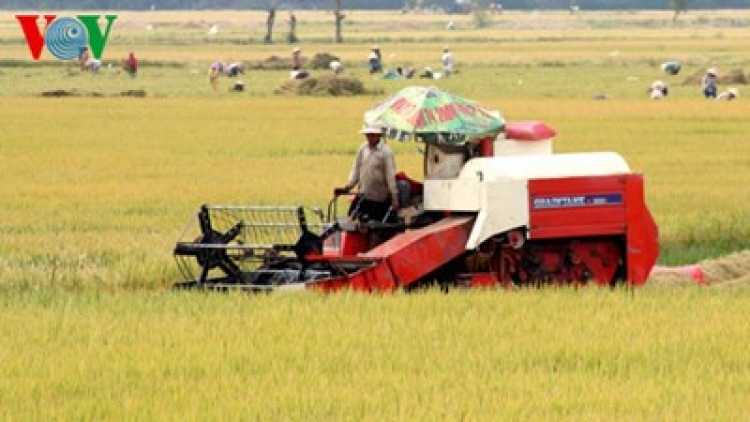 Nông nghiệp và nông thôn ngày 05/01/2015: Doanh nghiệp chưa mặn mà với nông nghiệp