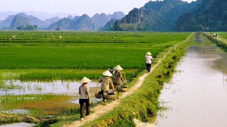 Làm gì để đảm bảo lợi nhuận cho nông dân?.