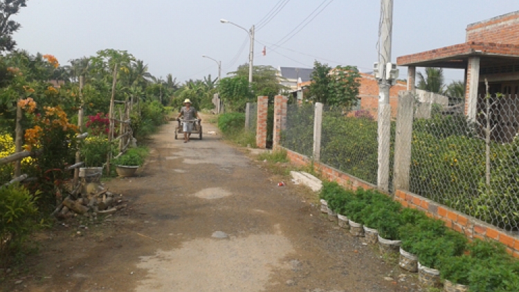 Nông nghiệp và nông thôn ngày 21/02/2015: Xuân về trên những khu tái định cư.