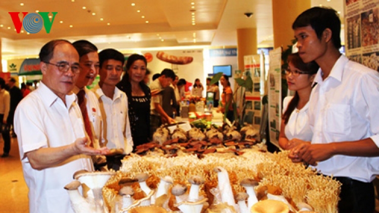 Nông nghiệp và nông thôn ngày 13/3/2015: Khoa học công nghệ trong nông nghiêp - đòn bẩy từ khối tư nhân.
