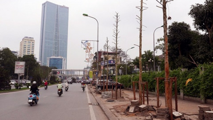 Thời sự đêm ngày 25/3/2015: Sở Xây dựng Hà Nội vẫn khẳng định cây mới trồng trên đường Nguyễn Chí Thanh là cây vàng tâm và số tiền bán gỗ lên đến hàng trăm tỷ là không đúng.