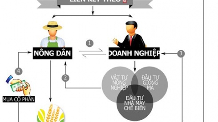Diễn đàn kinh tế ngày 29/3/2015: Tái cơ cấu ngành nông nghiệp – nhìn từ vai trò doanh nghiệp