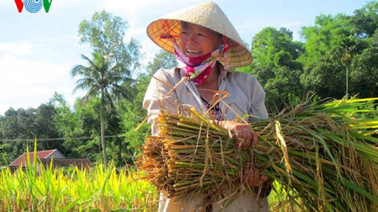Nông nghiệp và nông thôn ngày 08/03/2015: Phụ nữ nông thôn.