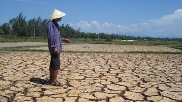 Tình trạng khô hạn kéo dài được báo trước: Người dân vẫn loay hoay trong cách ứng phó.