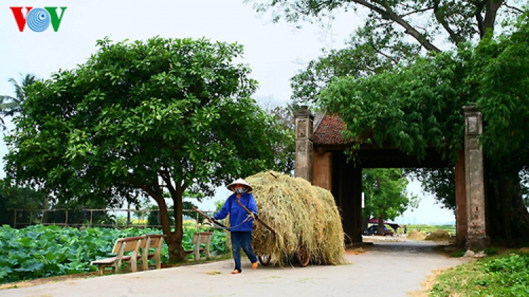 Kịch truyền thanh ngày 12/4/2015: Câu chuyện truyền thanh "Con đường làng"