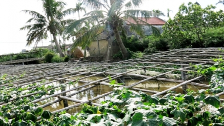 Nông nghiệp và nông thôn ngày 14/4/2015: Yên Khánh, Ninh Bình: Phát huy hiệu quả xây dựng nông thôn mới.