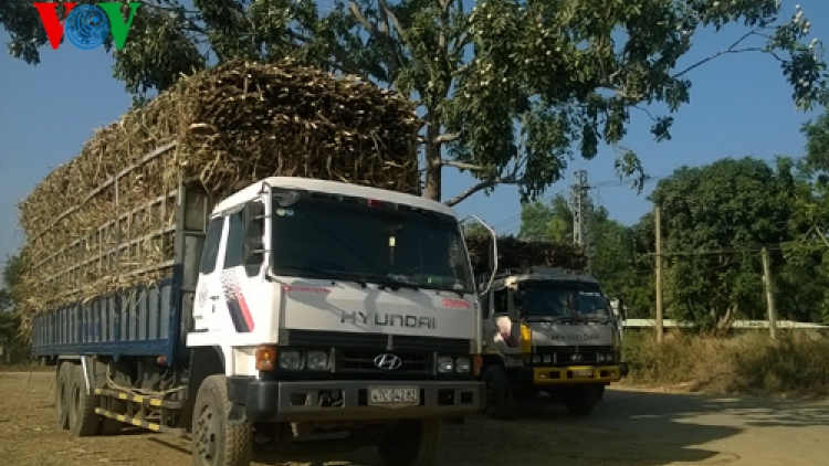 Theo dòng thời sự ngày 21/4/2015: -	Cước phí vận chuyển và chi phí trung gian: Đội giá nông sản.