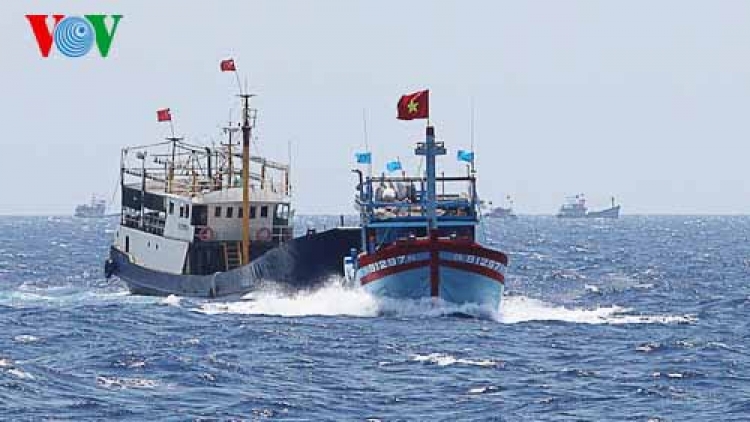Biển đảo Việt Nam ngày 26/4/2015: Tai nạn nghề cá trên biển - đáng lo ngại.