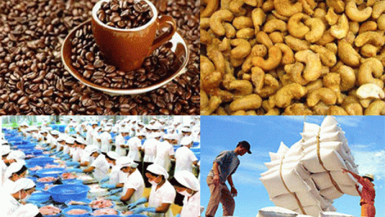 Kinh tế ngày 28/4/2015: Xuất khẩu nông lâm thủy sản quý đầu năm giảm mạnh: Nguyên nhân do đâu ?