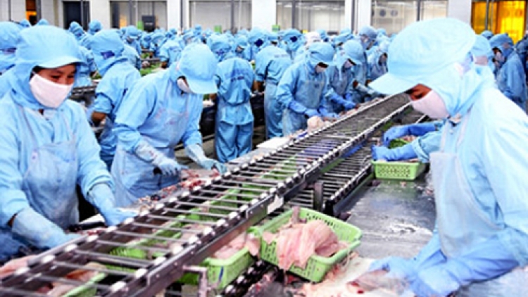 Thời sự chiều ngày 04/4/2015: Brazil cấp giấy phép nhập khẩu trở lại đối với mặt hàng thủy sản và các sản phẩm nuôi trồng, đánh bắt từ Việt Nam.