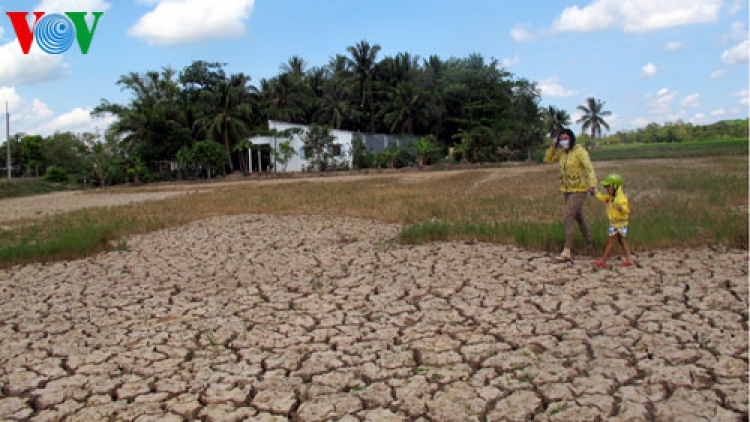 Thời sự đêm ngày 08/4/2015: Tổng cục Thủy lợi phối hợp với Hội Thủy lợi Việt Nam tọa đàm bàn giải pháp phòng chống hạn hán và xâm nhập mặn.