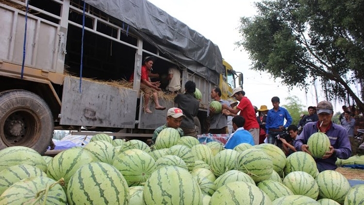 Thời sự trưa ngày 10/5/2015: Tỉnh đoàn Quảng Ngãi muốn mời cơ quan điều tra làm rõ về thông tin có sự khuất tất tài chính trong chương trình hỗ trợ tiêu thụ dưa giúp nông dân.