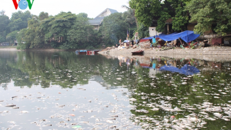 Môi trường và phát triển ngày 14/5/2015: Phát triển bền vững các dòng sông.