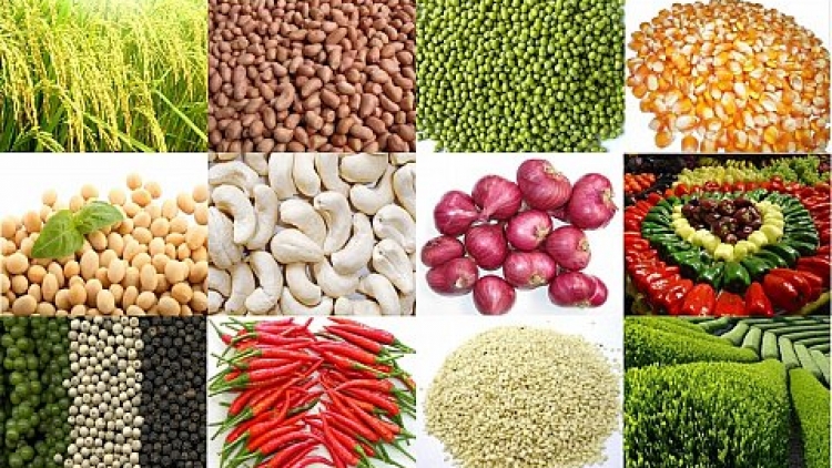 Nông nghiệp và nông thôn ngày 21/5/2015: Hiệp định đối tác xuyên Thái Bình Dương và những thách thức đối với nông sản Việt Nam.