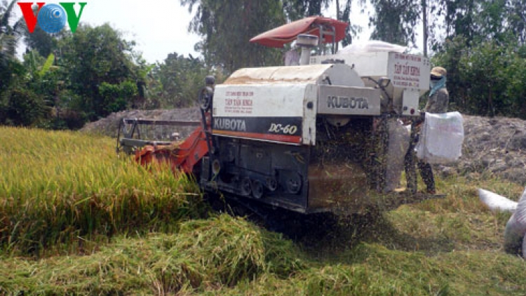 Thời sự chiều ngày 25/5/2015: Việt Nam sẽ tham dự phiên đấu thầu bán 250 nghìn tấn gạo cho Philippin theo thỏa thuận liên chính phủ vào tháng 6 tới.