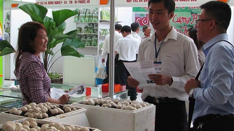 Theo dòng thời sự ngày 08/5/2015: Nông sản an toàn: Cung chưa gặp cầu.