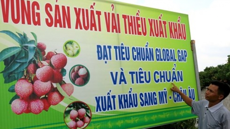 Gỡ khó cho tiêu thụ nông sản.