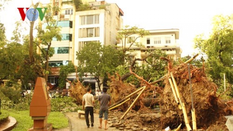 Thời sự trưa ngày 14/6/2015: Trận dông lốc với sức gió giật cấp 9 xảy ra chiều qua tại Hà Nội đã làm ít nhất 2 người thiệt mạng, nhiều người bị thương, hàng trăm cây cối đổ ngôn ngang.