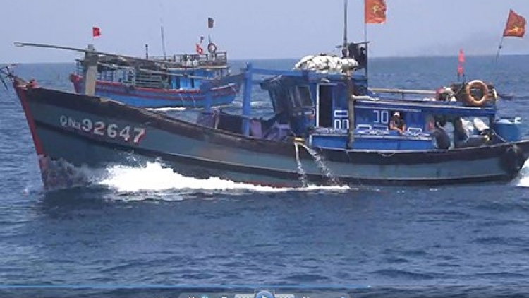 Thời sự đêm ngày 14/6/2015: Truy tìm tàu hàng đâm vỡ mạn trái tàu cá QNa 92647, khiến 1 ngư dân thiệt mạng, 3 người khác bị thương.