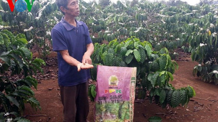 Nông nghiệp và nông thôn ngày 2/6/2015: Mùa mưa và nỗi lo phân bón giả ở Tây Nguyên.