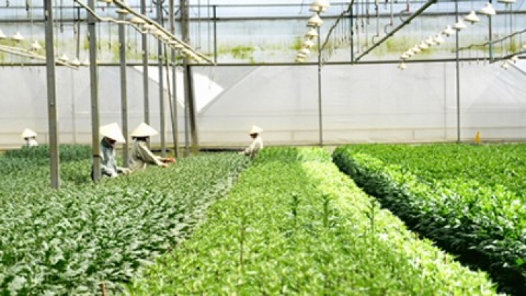 Ứng dụng khoa học công nghệ trong sản xuất nông nghiệp (Nông nghiệp và nông thôn ngày 10/7/2015)