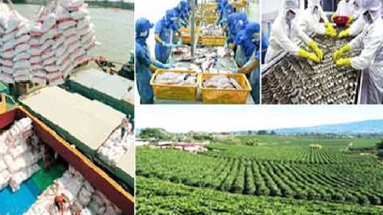 Hiệp định đối tác kinh tế chiến lược xuyên Thái Bình Dương và thách thức đối với nông sản Việt (Nông nghiệp nông thôn ngày 16/7/2015)