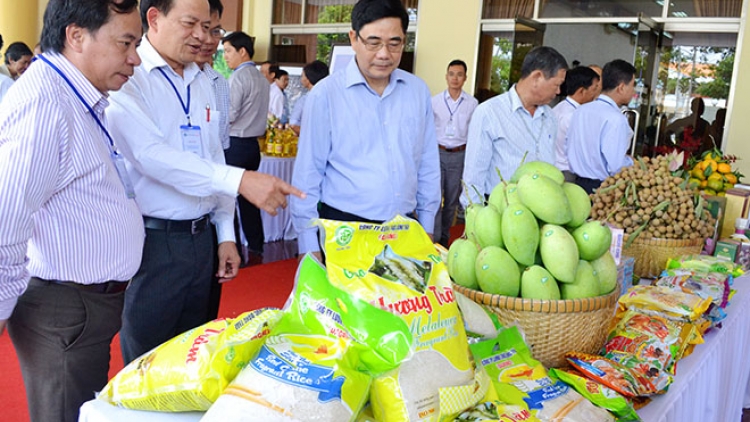 Tái cơ cấu ngành trồng trọt: Thay “da” nhưng chưa đổi “thịt” (Nông nghiệp và nông thôn ngày 24/7/2015)