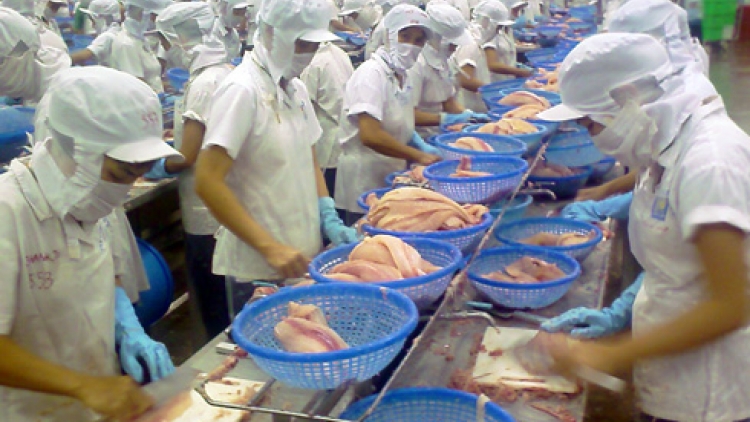 Doanh nghiệp "tự bơi" với FTA? (Kinh tế ngày 14/8/2015)