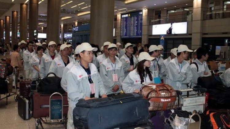 Xuất khẩu lao động, kế hoạch 10- kết quả 1.