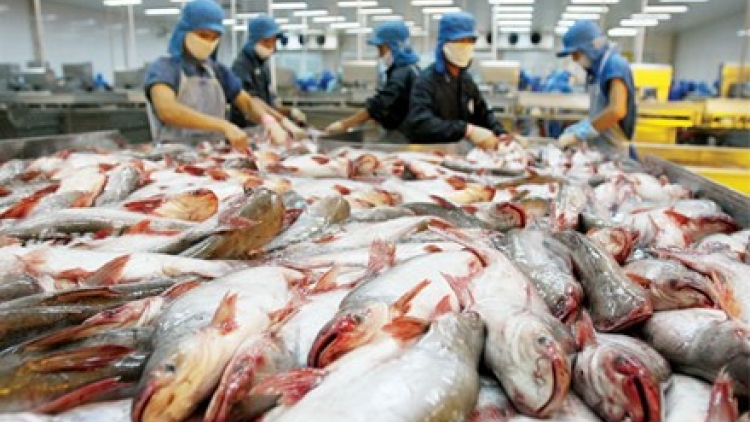Vì sao xuất khẩu thủy sản của Việt Nam sụt giảm so với năm 2014
