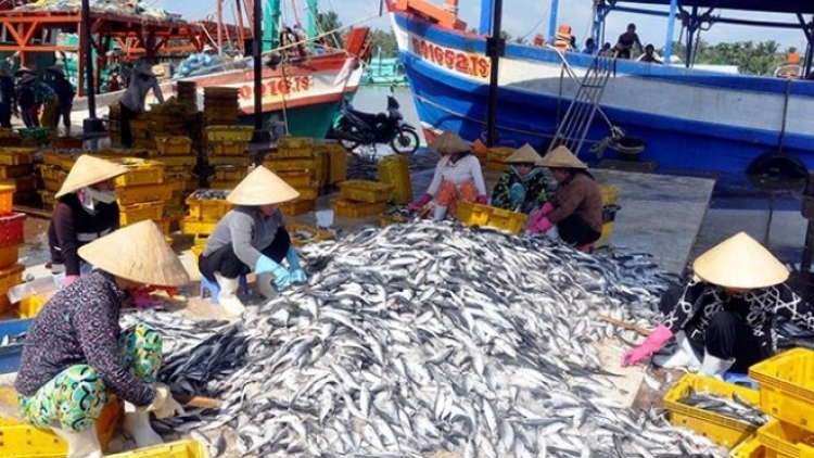 Những thách thức về tính bền vững nguồn lợi hải sản Việt Nam (30/10/2016)