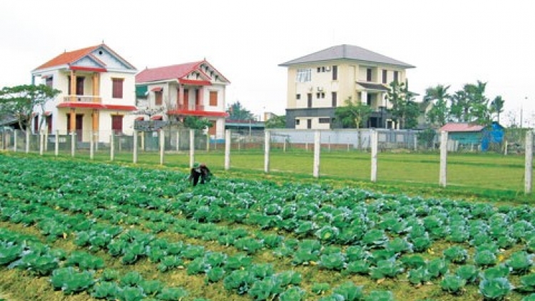 Xây dựng nông thôn mới phải thực chất (3/10/2016)