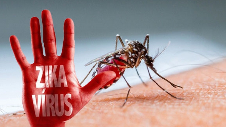 Cẩn trọng với diễn biến của dịch bệnh do vi rút Zika (24/10/2016)