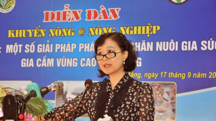 Hướng dẫn cách phòng chống rét cho gia súc, gia cầm, vật nuôi (09/11/2016)