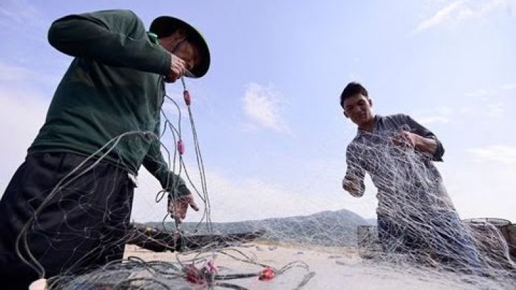 Sau sự cố môi trường biển: Ngư dân Hà Tĩnh sắm ngư lưới cụ, tiếp tục vươn khơi (21/11/2016)