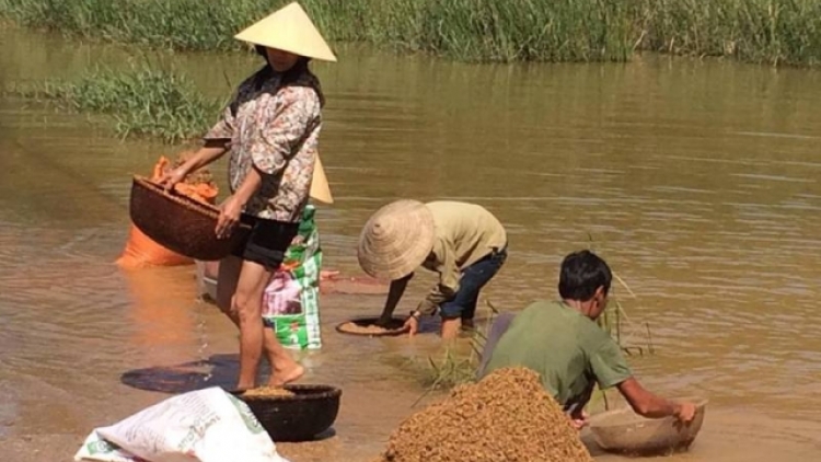 Nông dân bao giờ hết nỗi lo chạy lũ (05/11/2016)